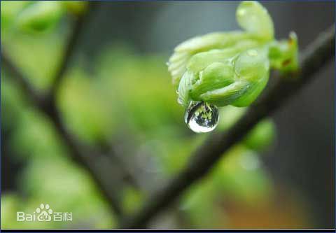 喜訊！2017新年開(kāi)工第一份中標(biāo)通知書(shū)